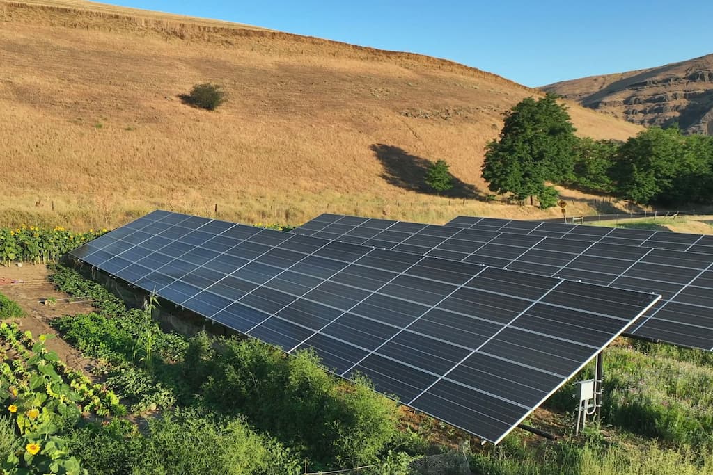 Ground mount solar panels installed in garden